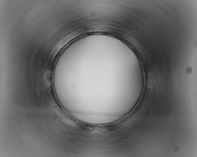 X0000111350786200907241157