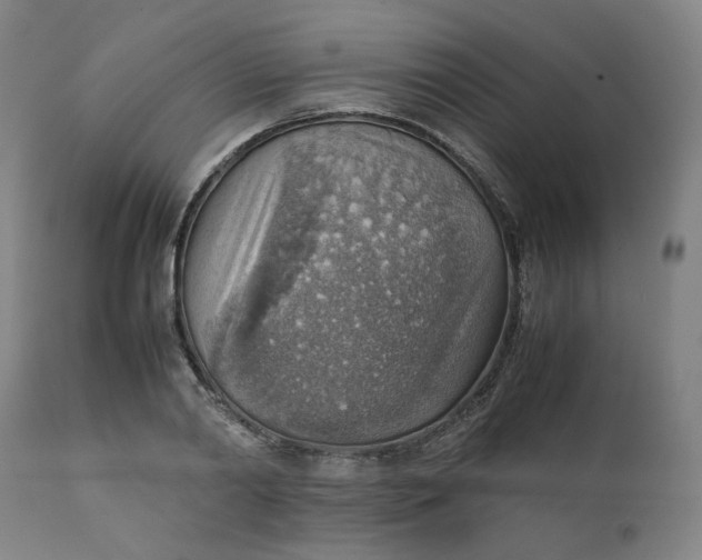 X0000111350790200907241157