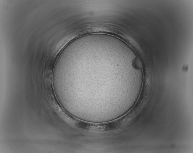 X0000111350793200907241157