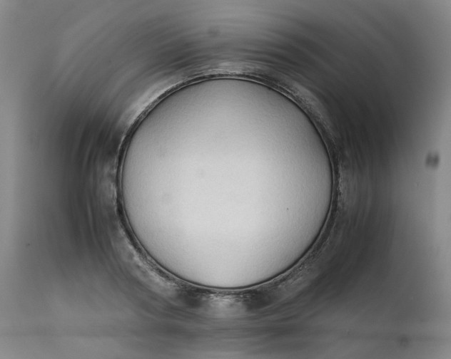 X0000111350794200907241157