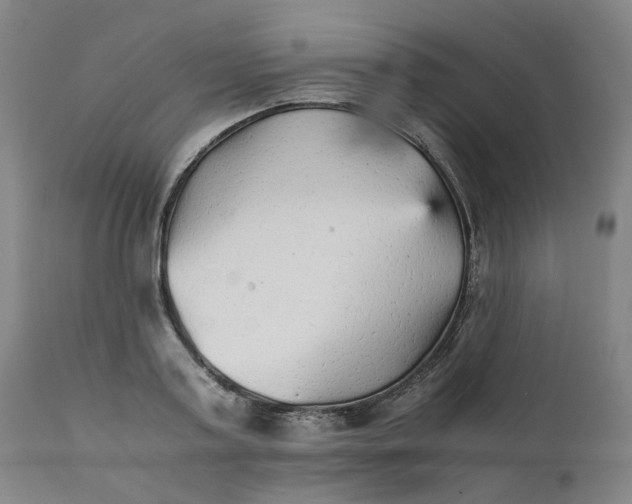 X0000111350795200907241157