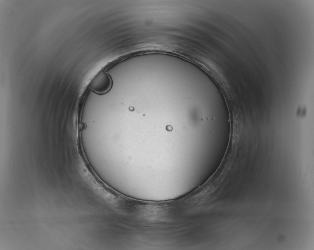 X0000111350796200907241157