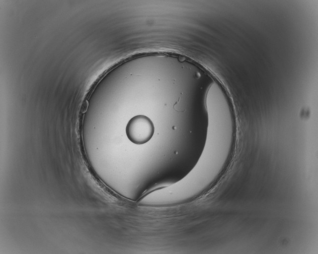 X0000111350797200907241157