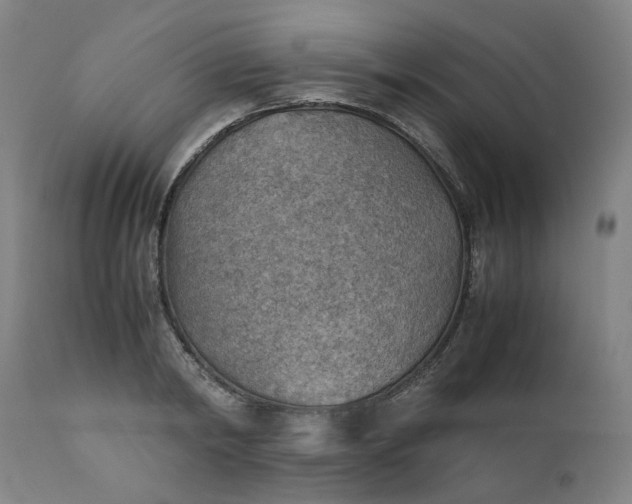 X0000111350798200907241157