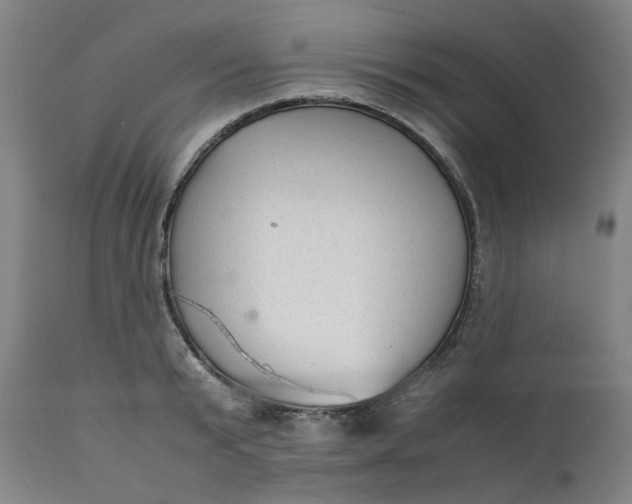 X0000111350799200907241157