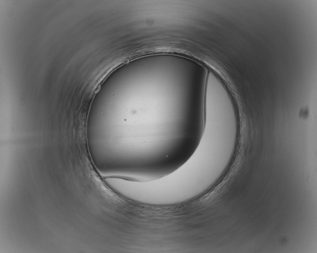 X0000111350801200907241157