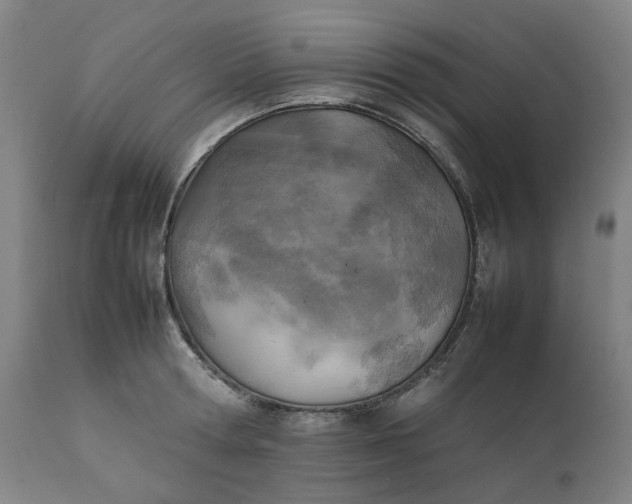 X0000111350802200907241157