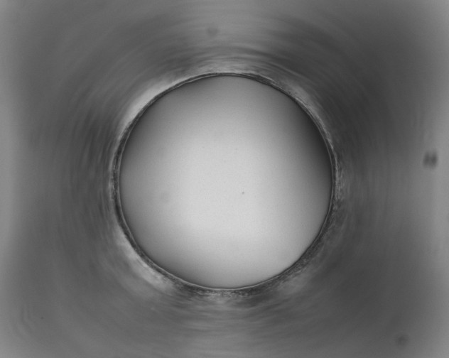 X0000111350803200907241157