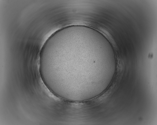 X0000111350804200907241157