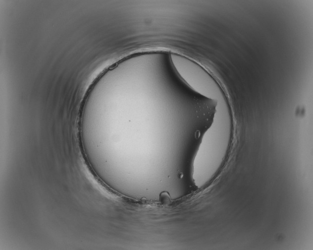 X0000111350805200907241157