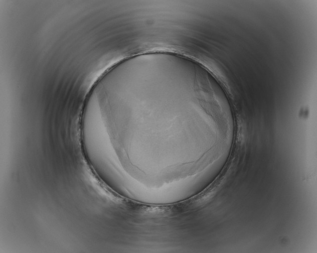 X0000111350806200907241157