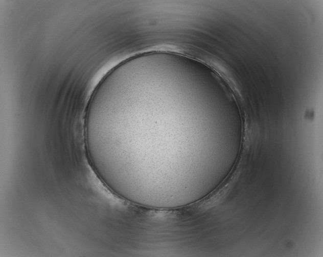 X0000111350808200907241157