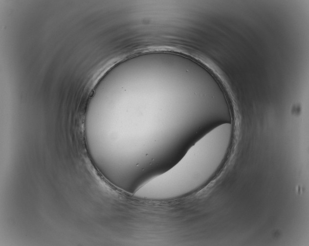 X0000111350809200907241157