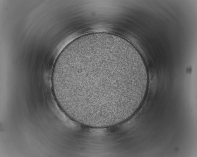 X0000111350810200907241157