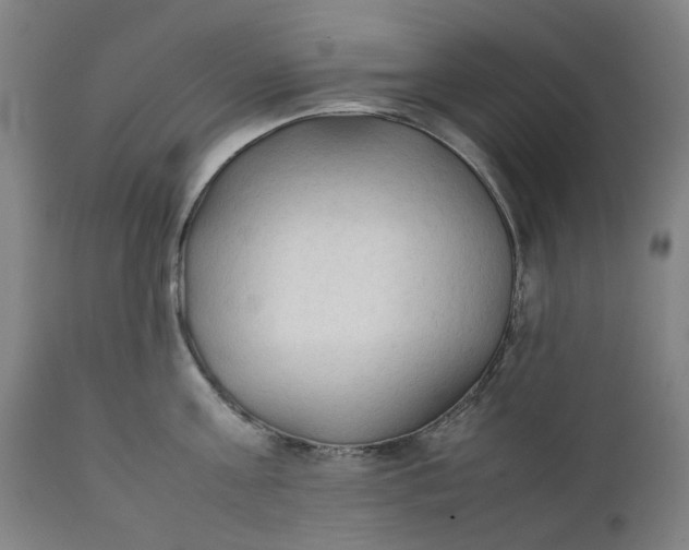 X0000111350811200907241157