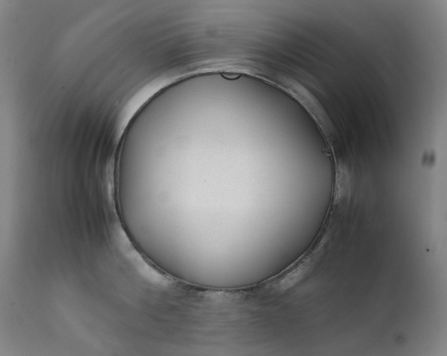 X0000111350812200907241157