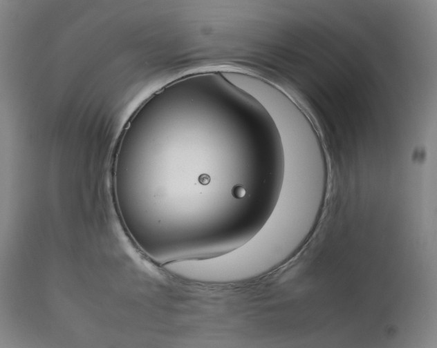 X0000111350813200907241157