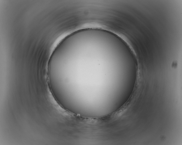 X0000111350815200907241157