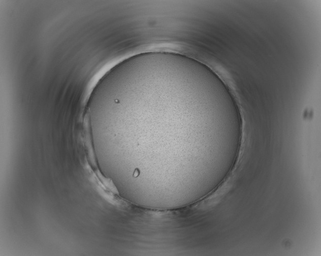 X0000111350816200907241157