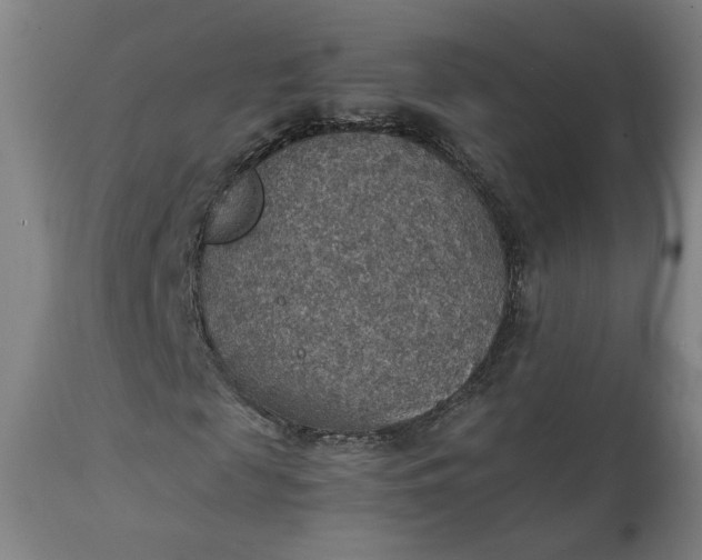 X0000111350817200907241156