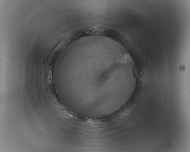 X0000111350818200907241156