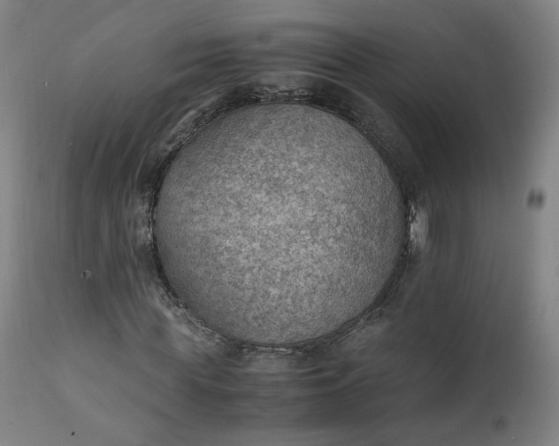 X0000111350819200907241156