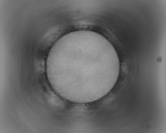 X0000111350820200907241156