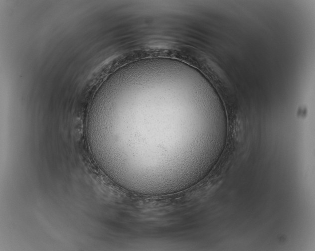 X0000111350821200907241156