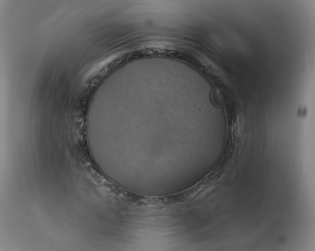 X0000111350822200907241156