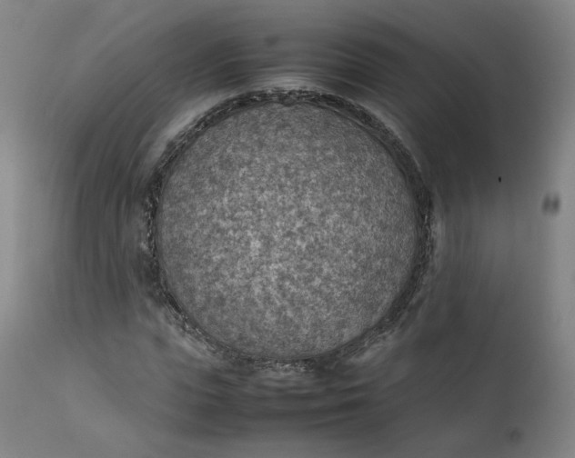 X0000111350823200907241156