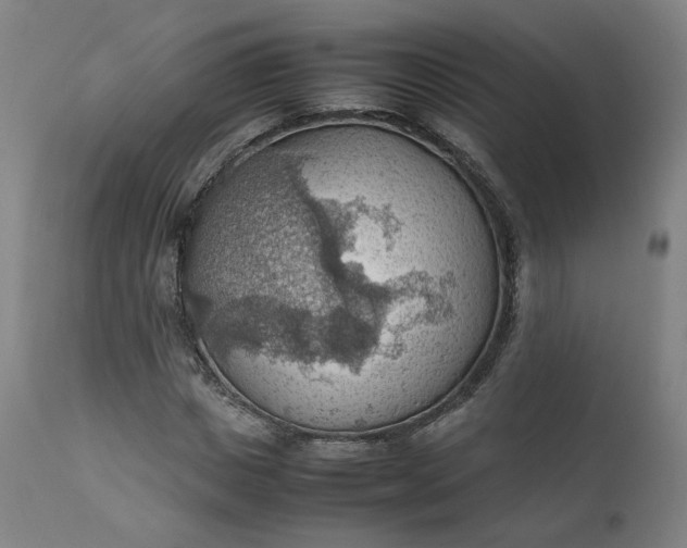 X0000111350825200907241156