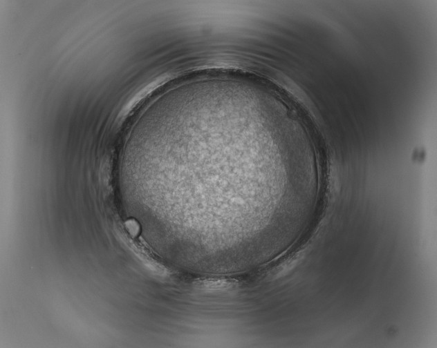 X0000111350826200907241156