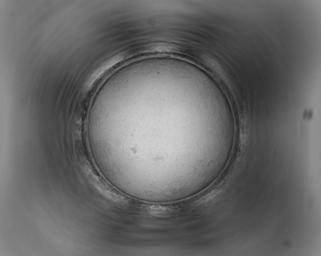 X0000111350827200907241156