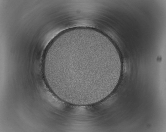 X0000111350828200907241156