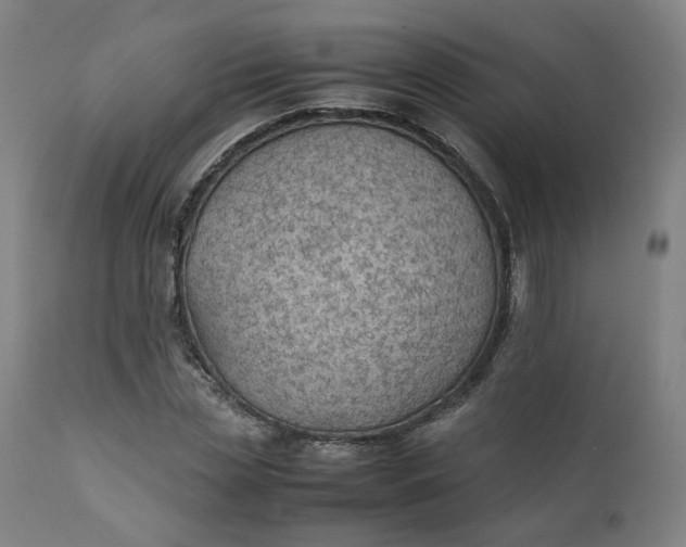 X0000111350829200907241156