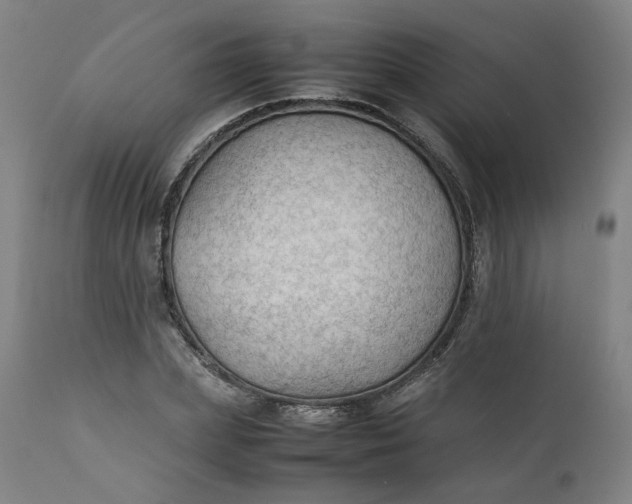 X0000111350831200907241156