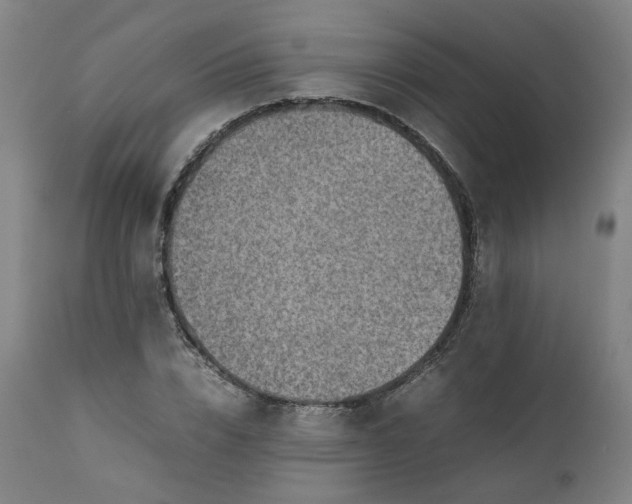 X0000111350832200907241156