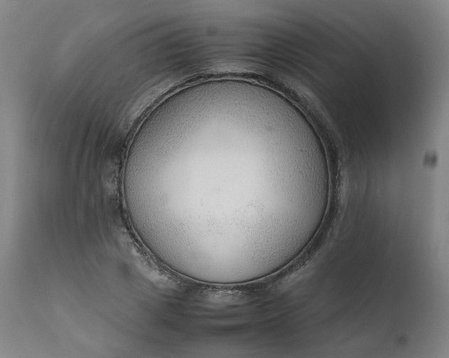 X0000111350833200907241156