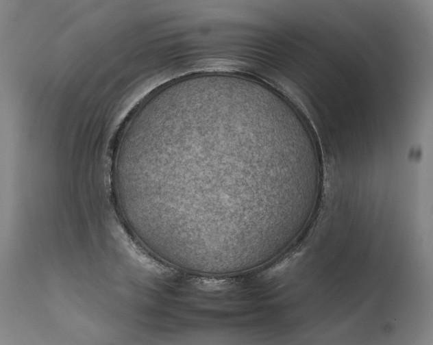 X0000111350835200907241156