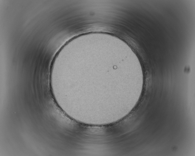 X0000111350836200907241156