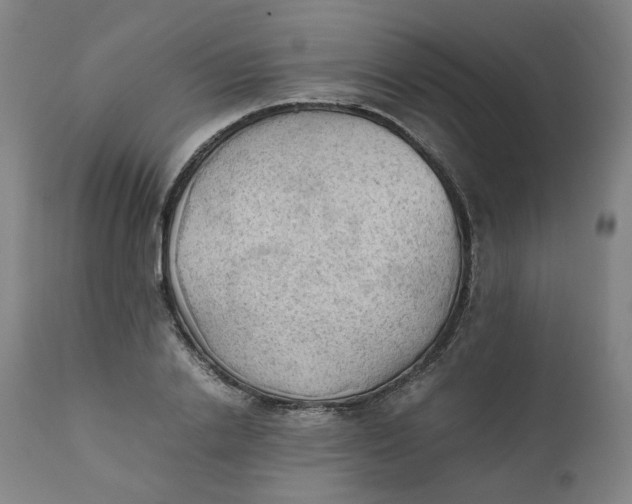 X0000111350838200907241156