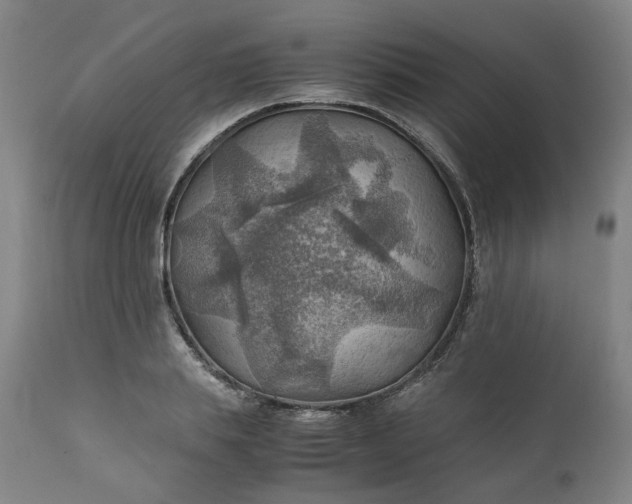 X0000111350839200907241156