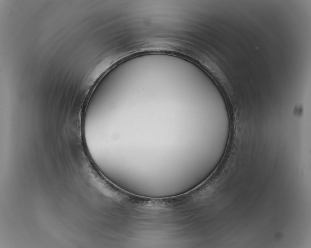 X0000111350842200907241156