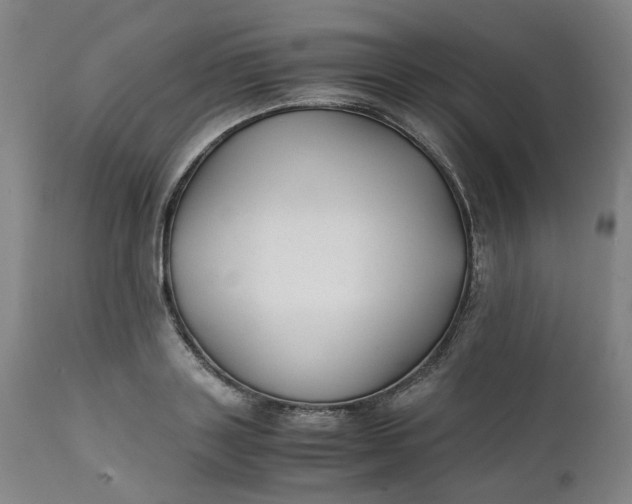 X0000111350843200907241156