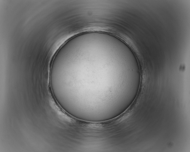 X0000111350844200907241156