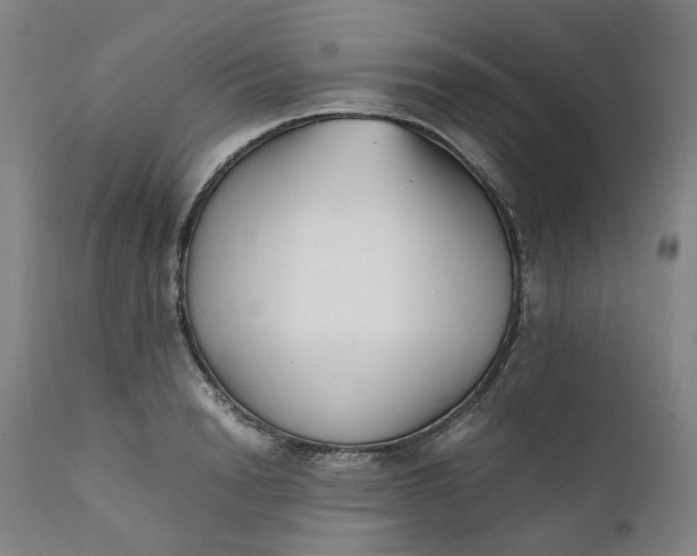 X0000111350846200907241156