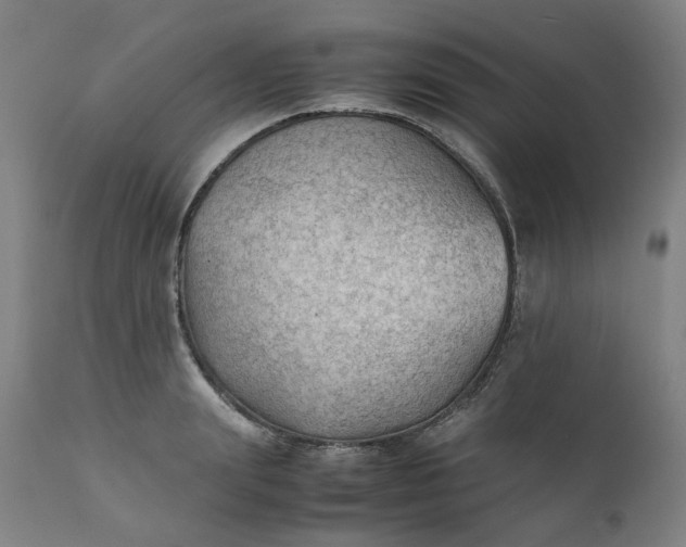 X0000111350847200907241156