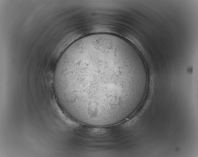 X0000111350849200907241156