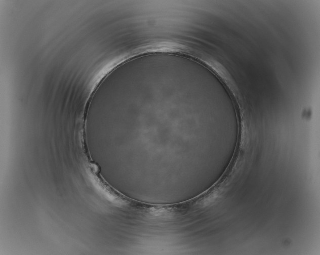 X0000111350850200907241156