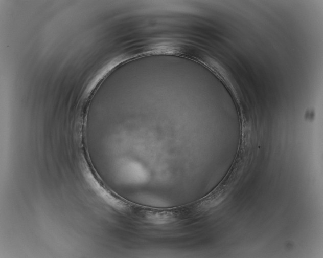 X0000111350851200907241156